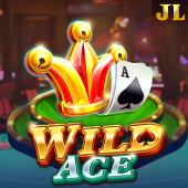 Wild Ace slot at mega casino